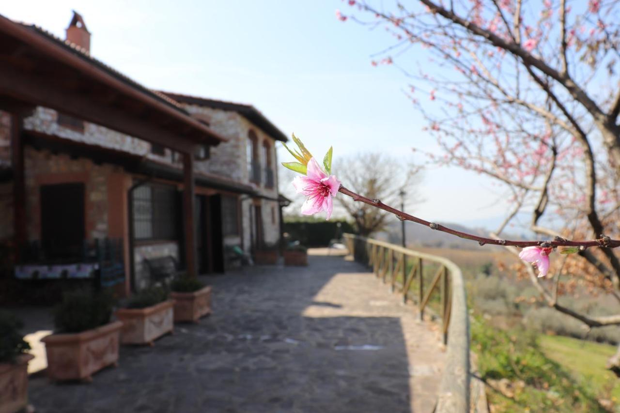 B&B Casale Roshlee 구알도카타네오 외부 사진